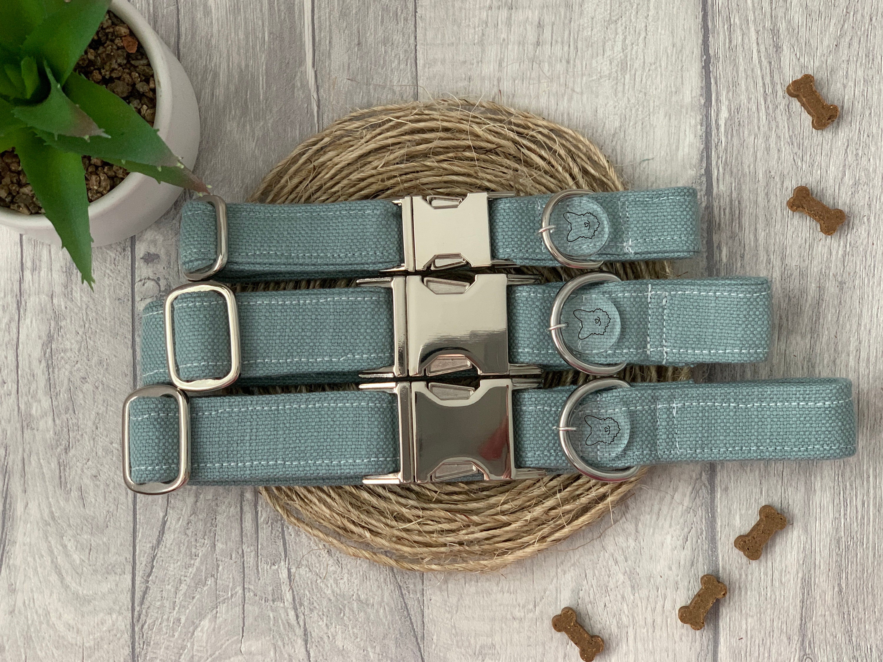 Dog Collar & Matching Lead The Essentials Collection Etsy