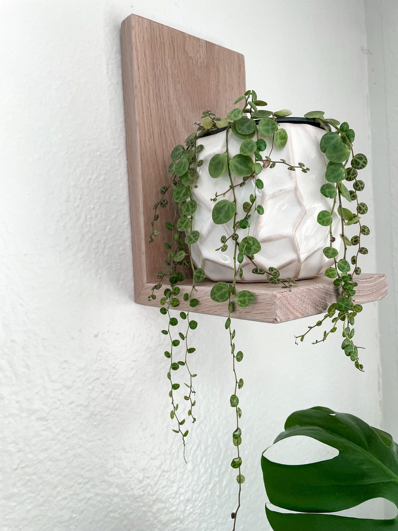 Floating Shelf Hardwood Floating Shelf Plant Shelfwood Etsy Canada