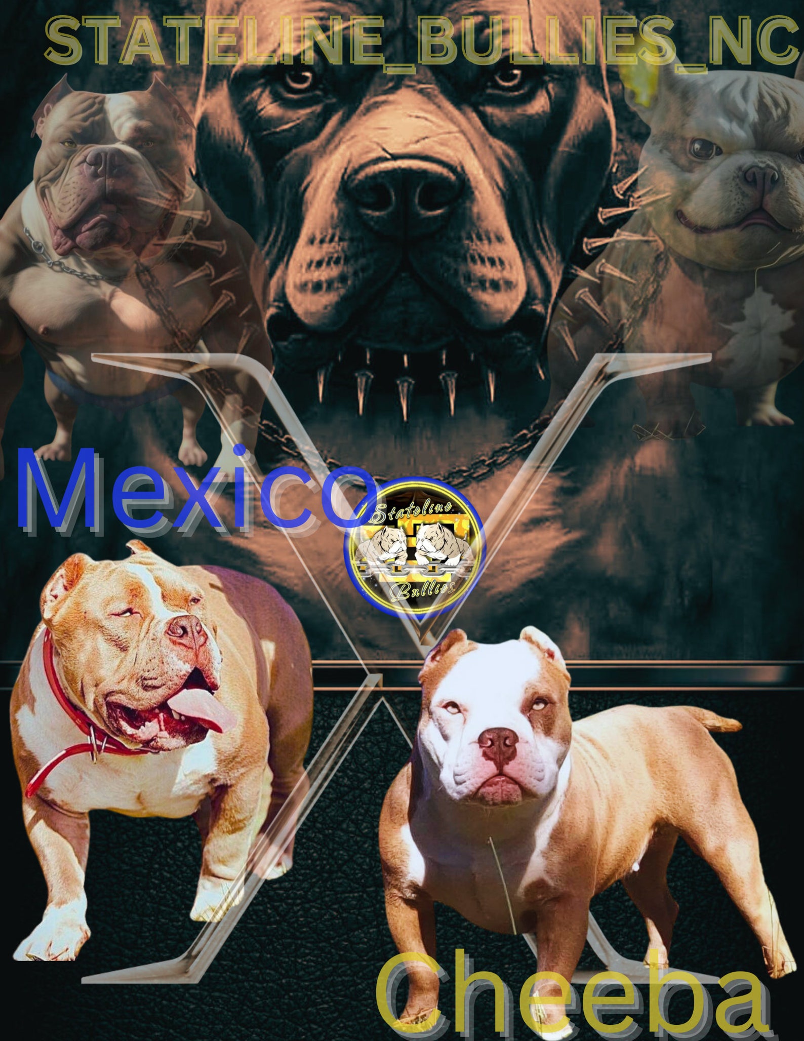 American Bullies Banners - Etsy