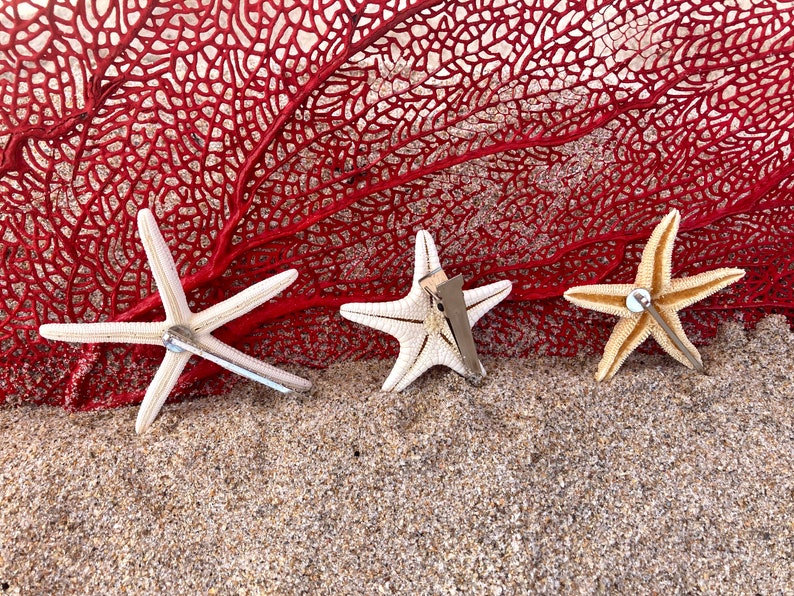 Starfish Shell Hair Clips Set of 3 Shell Seashell Hair Clips Starfish Hair Clips Hair Pins Hair Clips Mermaid Hair Hair Clips