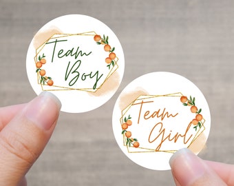 Sticker Sheet - Gender Reveal Baby Shower Party Stickers - Team Boy Team Girl - A Little Cutie is on the Way - (Orange Rectangle)