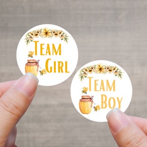 Gender Reveal Sticker Sheets - Bee Hive Baby Shower Party Favor - Team Boy Team Girl - What Will it Bee - Bumble Bee Baby (Honey Pot)