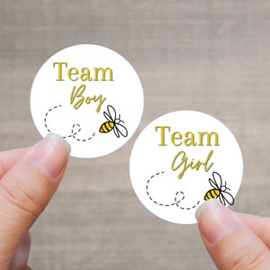 Gender Reveal Sticker Sheets - Bee Hive Baby Shower Party Favor - Team Boy Team Girl - What Will it Bee - Bumble Bee Baby (Little Bee)