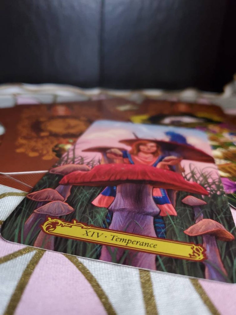 Customizable Psychic Card Readings with the Claircognizant SpiritualBrattyCatWitch