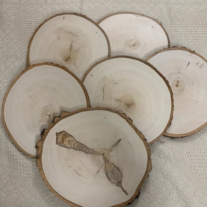 Set of 10 Wood Slabs | Wood Slices | Wood Centerpieces | Cake Stand | Rustic Wedding Decor | Light Wood