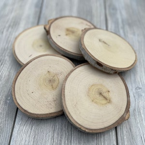 Set of 10 Wood Slabs | Wood Slices | Rustic Wedding Decor | Light Wood | Art Project | Nursery Decor | Rustic Nursery Decor