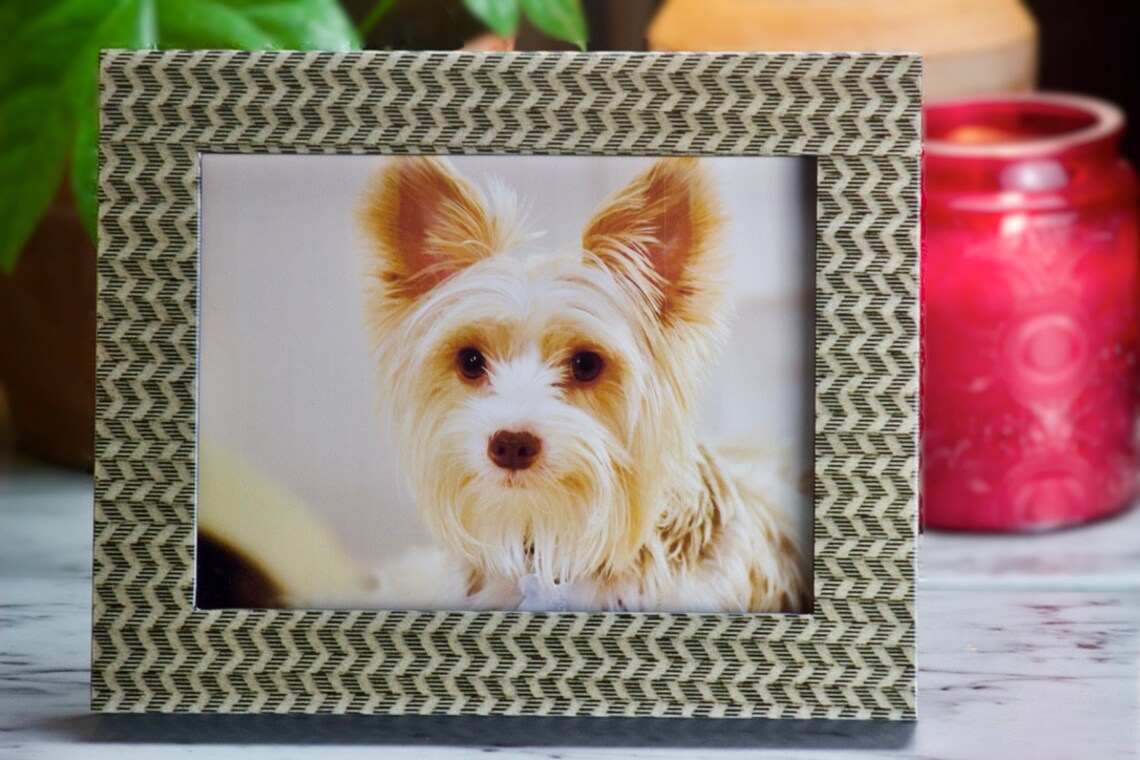 Bild Haustier Urne Pet Asche Rahmen Bilderrahmen Pet Urne Etsy