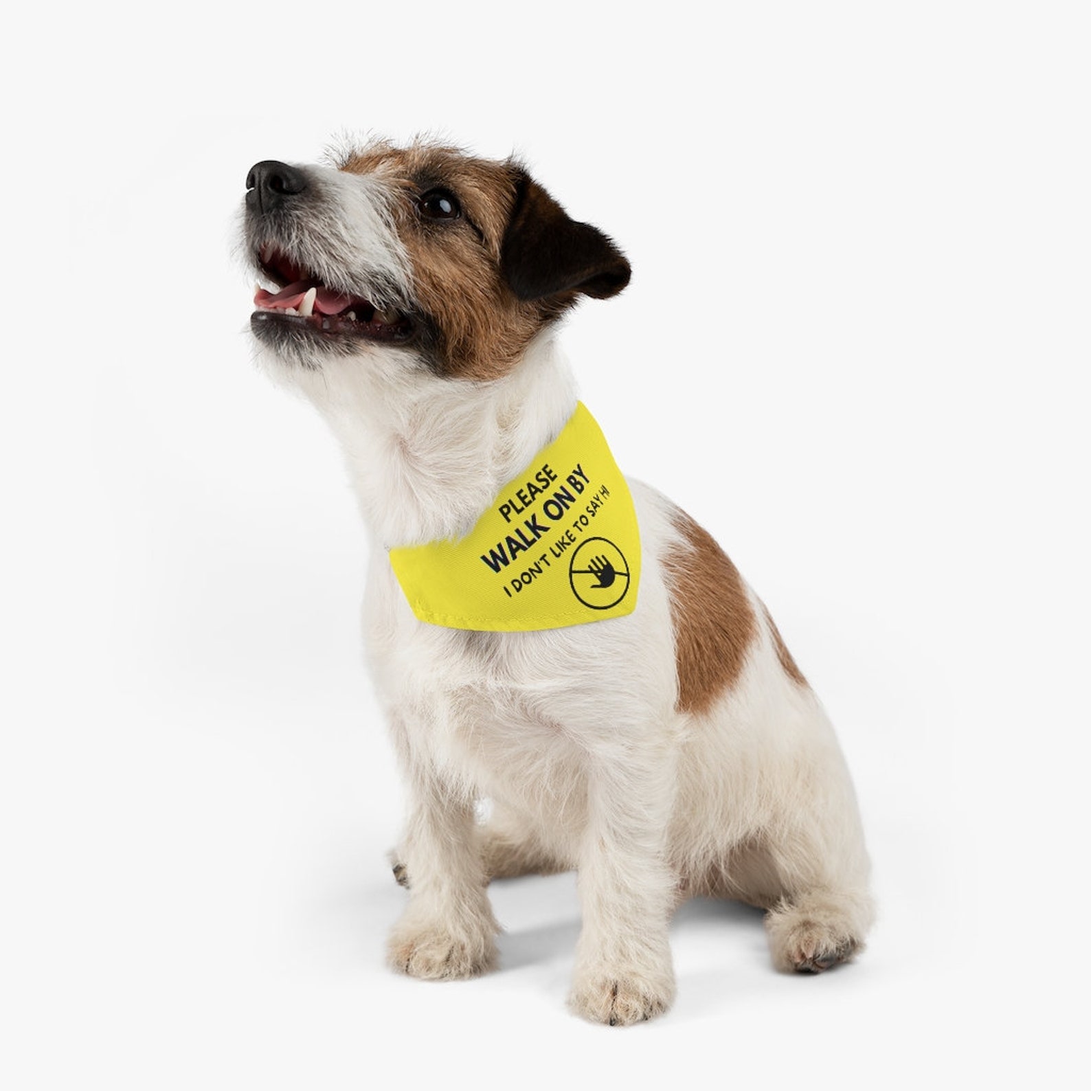 Nervous Dog Bandana Collar Yellow Reactive Dog Bandana Etsy