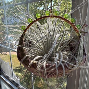 May include: A hanging air plant holder with a circular woven basket. The basket is wrapped in brown and pink yarn. A ring of green glass beads decorates the top. The air plant has long, wispy, silvery-green leaves. The holder hangs from a chain.