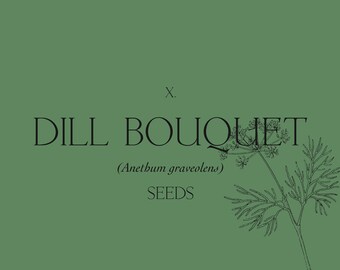 X. Dillbukett (Anethum graveolens) Frön