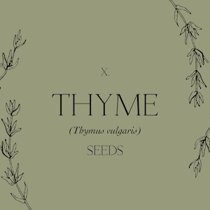 X. Thyme (Thymus vulgaris) Seeds