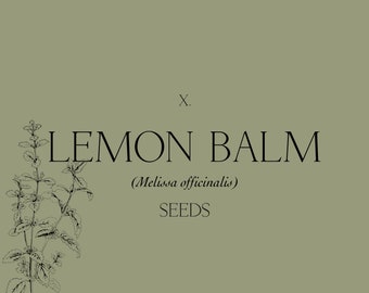 X. Bálsamo de limón Mint (Melissa officinalis) Semillas de reliquia