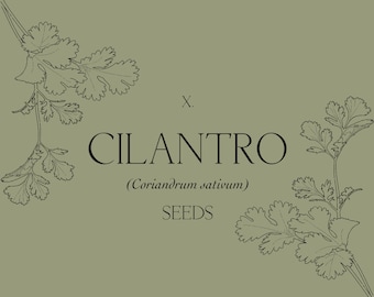 X. Cilantro (Coriandrum sativum) Seeds