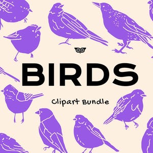 Bundle de cliparts oiseaux, linogravure oiseau dessinée à la main, silhouette animale linogravure, motifs oiseaux PNG, dessins moineau SVG