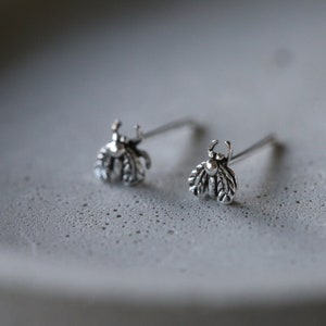 Housefly Studs - Silver Fly Ear Studs - Insect Earrings - Sterling Silver 925 (86)