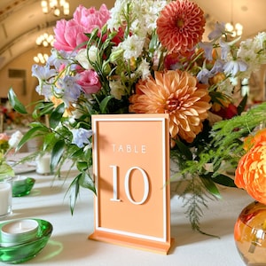 Acrylic Table Numbers for Wedding | Colorful Table Numbers | Garden Wedding | Modern Table Numbers