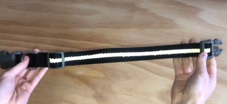 May include: Black dog collar with a white reflective strip and a plastic buckle.