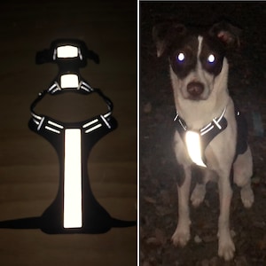 Reflective Iron-On Material - Dog Safety - for Harnesses, Leashes, Collars, and More