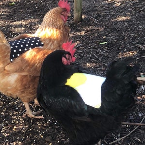 Chicken Back Protectors (Saddles)