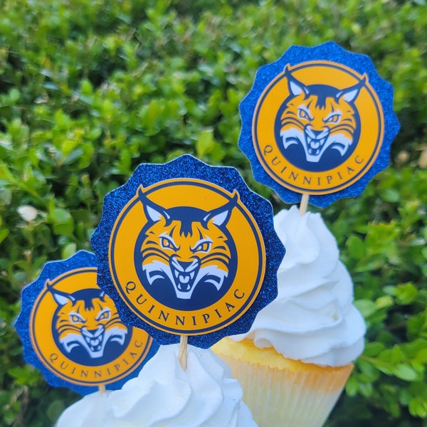 Premium Graduation Cupcake Toppers, 1 dozen College graduation decorations, Class of 2024 Cupcake Topper, Class Reunion decor