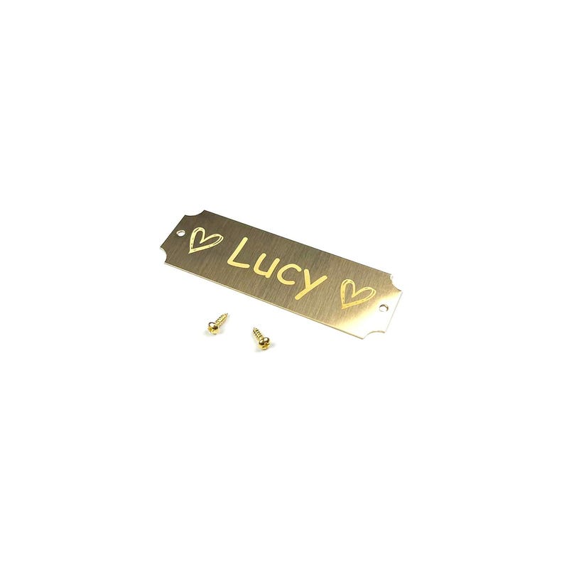 May include: A rectangular, gold-colored metal nameplate with the name "Lucy" engraved in a cursive font. Two small hearts flank the name. Two gold screws are included. The nameplate has decorative edges.