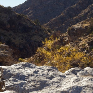 Mountain Landscape Photography Digital Download