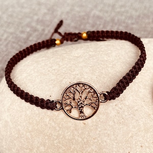 May include: A brown braided cord bracelet with a gold-toned tree of life charm.