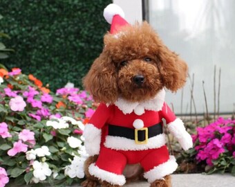 santa suit for dogs