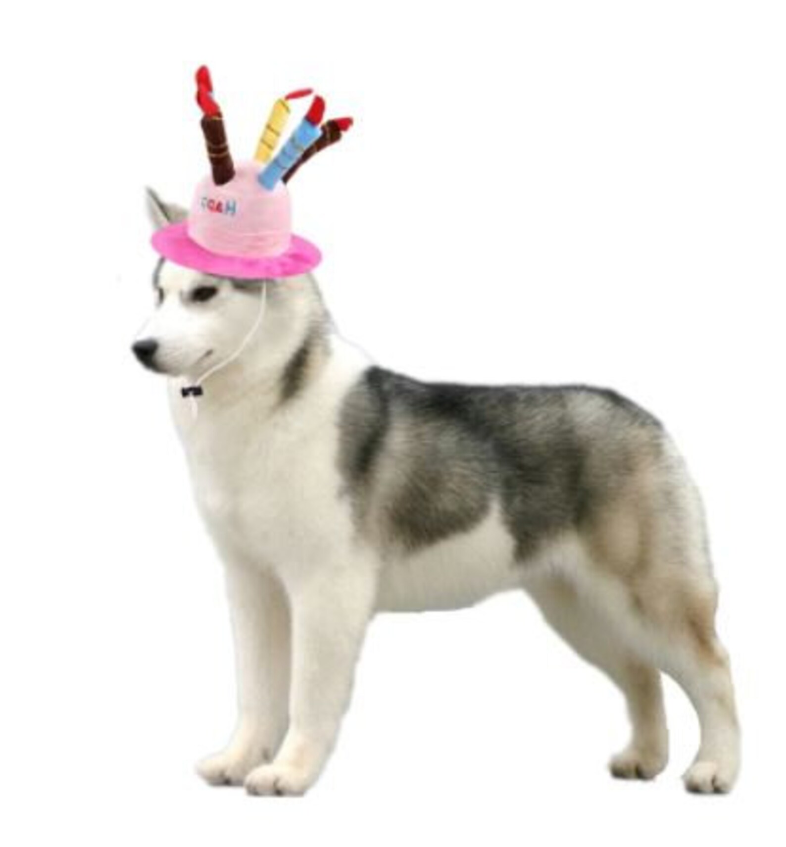 Dog Birthday Party Hat Cute Cake Candle cap Baby Reusable Etsy