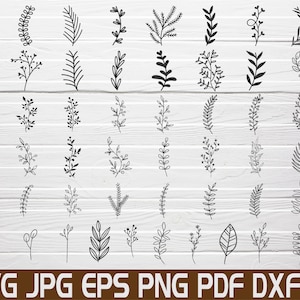 56 枚の葉の SVG カット ファイル、枝の SVG、葉の SVG バンドル、枝の SVG カット ファイル、Cricut 用シルエット、手描きの葉の SVG、即時ダウンロード