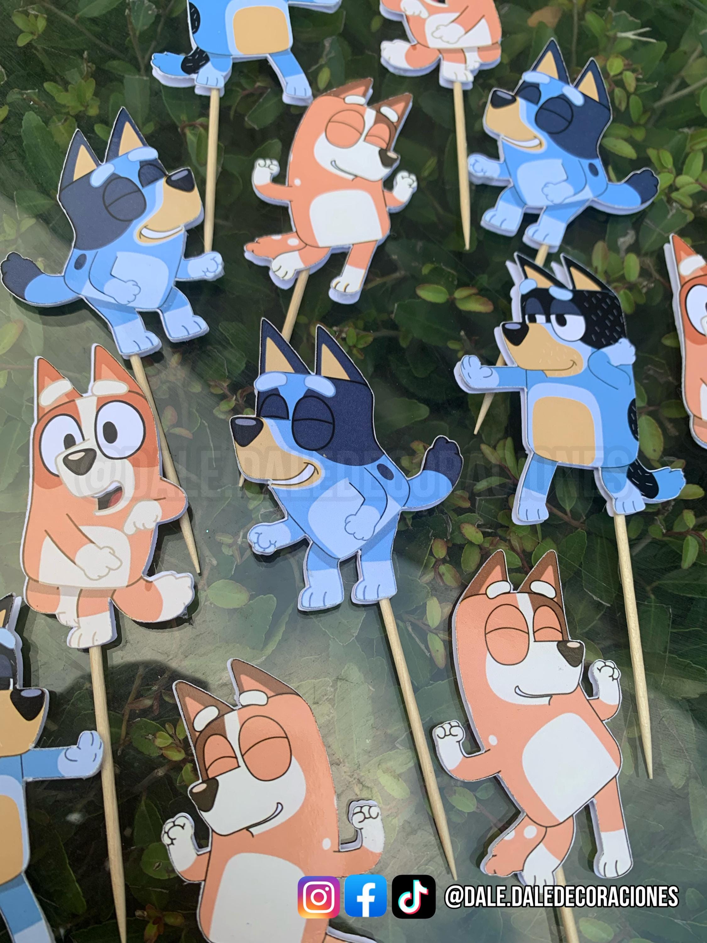 Made-to-Order Bluey Toppers