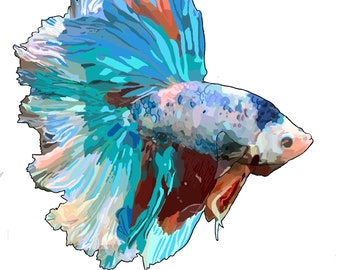Betta Drawing Etsy