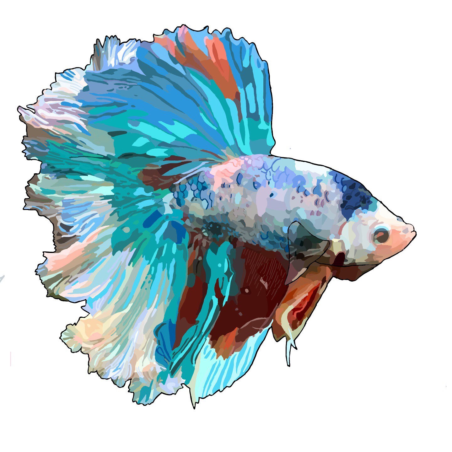 Digital Custom Betta Fish Fish Drawing. Custom - Etsy New Zealand Digital Custom Betta Fish Fish Drawing. Custom - Etsy New Zealand