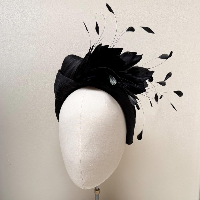 May include: A black headpiece featuring a wide, structured band with a textured, pleated finish. The design is adorned with a cluster of dark feathers and thin, delicate stems extending outward, creating a layered and dimensional appearance.