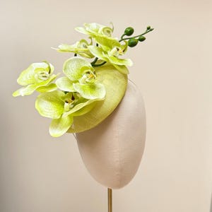 lime green Orchid pillbox hat statement sinamay fascinator for weddings and races image 1