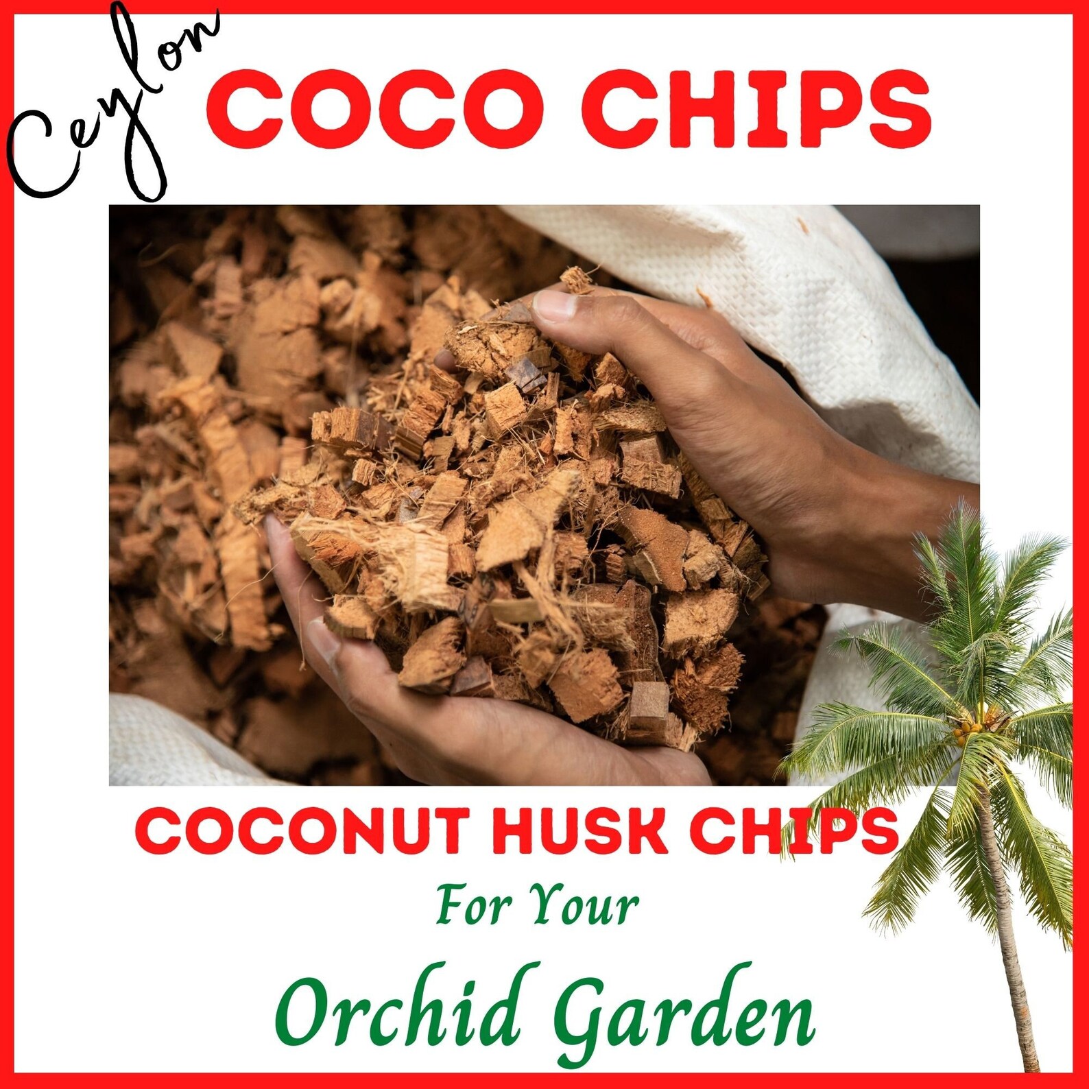 Natural 100 Organic Ceylon Coconut Husk Chips Coco Chips for Etsy