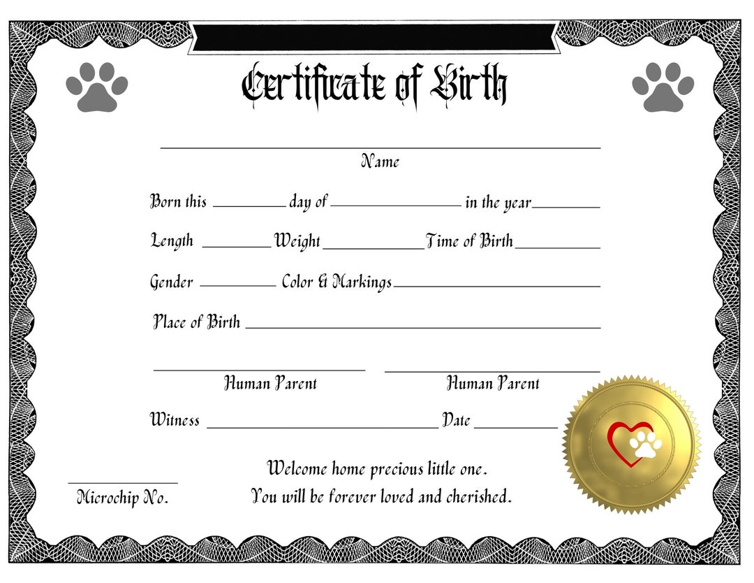 Kitten Birth Certificate DIGITAL DOWNLOAD Printable, Pet Birth Record ...