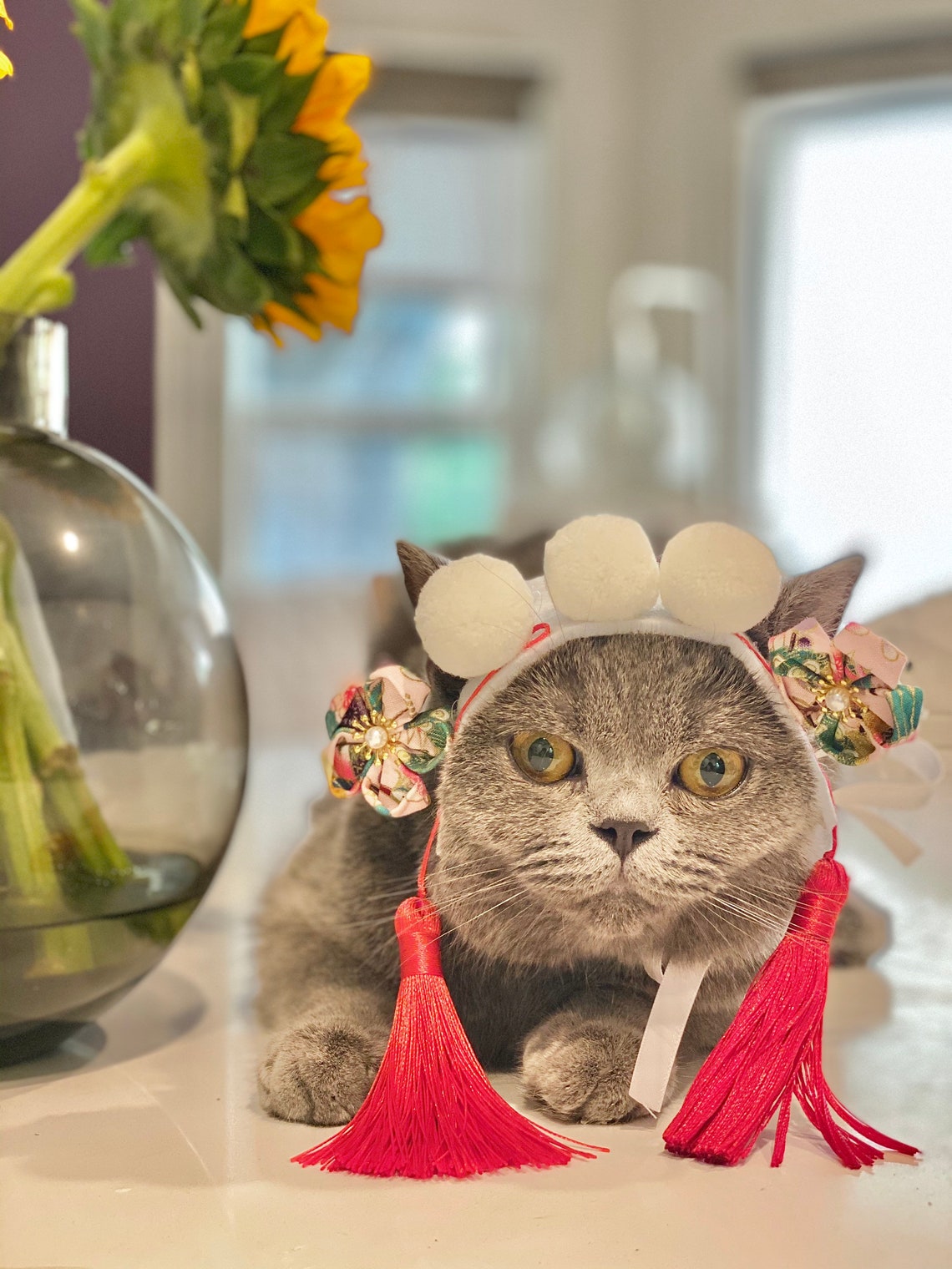 Funny Hair Band for Cats or Small Dogs Etsy