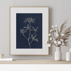May include: A framed print of a white line drawing of a flower on a dark blue background.