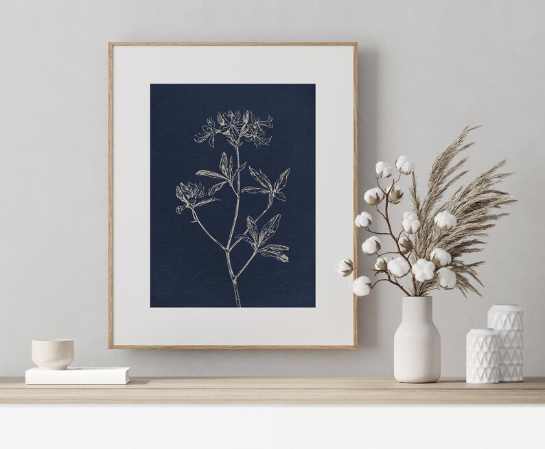 May include: A framed print of a white line drawing of a flower on a dark blue background.