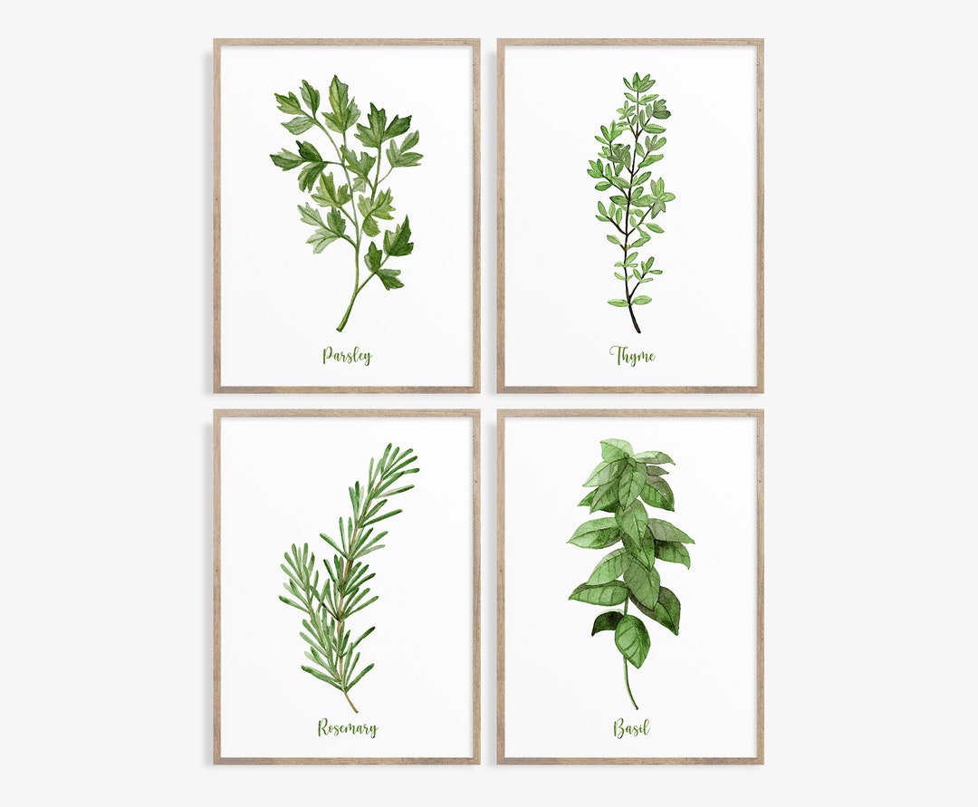 Herb Prints Set: Watercolor Kitchen Wall Art (digital Download) - Etsy