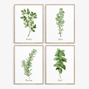 Set of 4 Herb Prints, Thyme, Rosemary, Parsley, Basil, Kitchen Decor, Herb Prints, Herb Painting, Kitchen Printable Art, Kitchen Wall Art