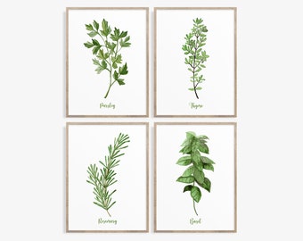 Herb Prints Set: Watercolor Kitchen Wall Art (Digital Download)