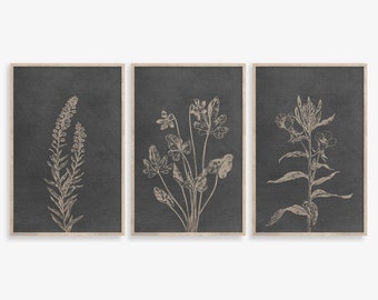 Botanical Prints Set: Dark Gray Floral Wall Art (Digital Download)