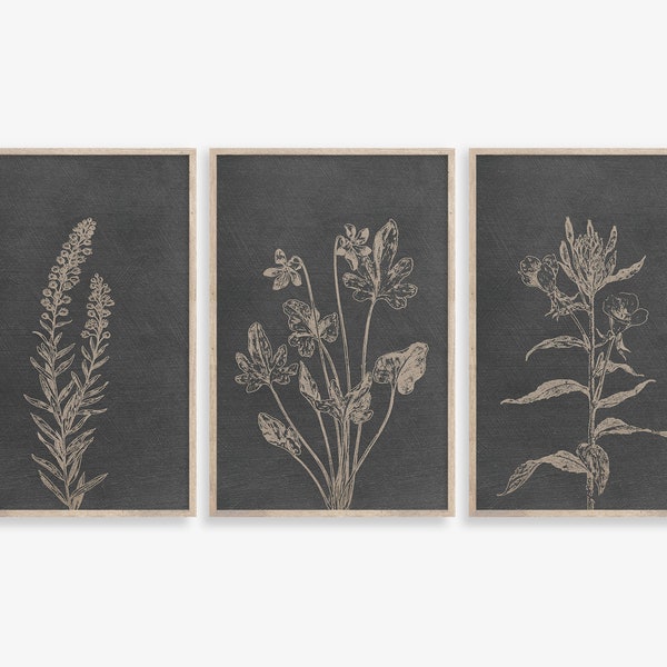 Botanical Prints, Set of 3 prints, Dark Gray Background Botanical Wall Art, Gray Background,Printable art,Gray Wall Art,linen color wall art