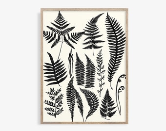 Black Fern Print, Botanical Fern Print, Neutral Wall Art, Vintage Farmhouse Botanical Printable Decor, Printable Wall art, Digital Download
