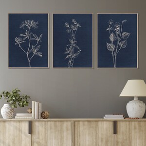 May include: Three navy blue framed prints with white line drawings of botanical illustrations. The prints are hung on a gray wall above a wooden cabinet.