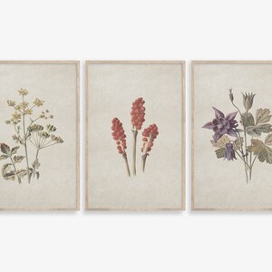 Vintage Flower Prints: Botanical Gallery Wall Art Set (Digital Download)