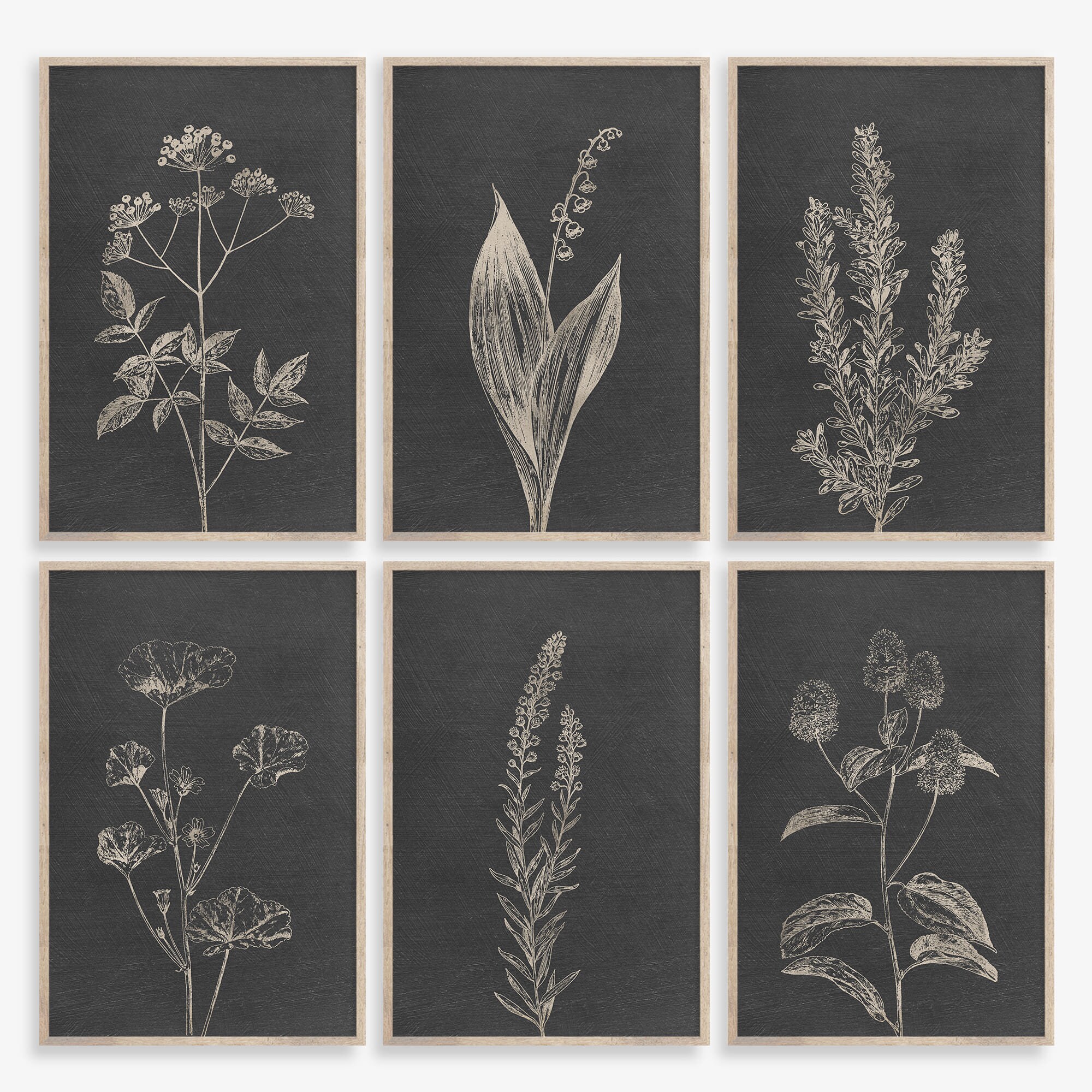 Botanical Prints, Set of 6 prints, Gray Botanical Wall Art, Dark Background, Vintage Print, Farmhouse Decor, printable art, Wild flower