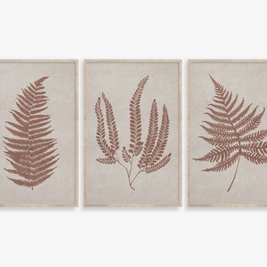 Sepia Tone Prints, Botanical Art, Set of 3 Prints, Printable Wall Art, Tan color botanical prints, Farmhouse Wall Art, neutral wall art